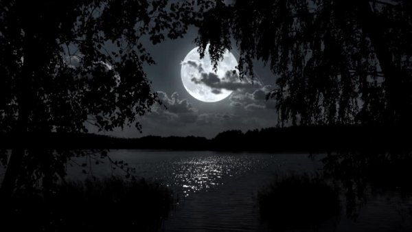 Луна лес озеро