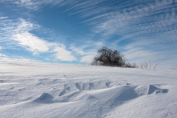 Зимнее поле