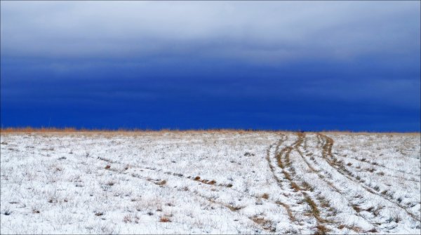 Заснеженная степь