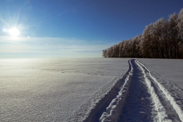 Зимняя дорога в поле