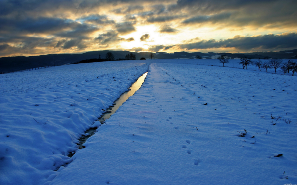 Снежная равнина