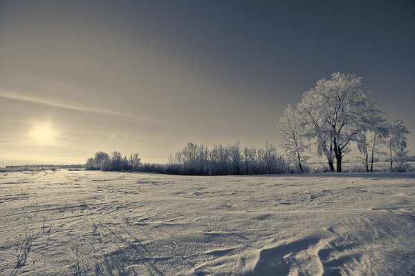 Зимнее поле России