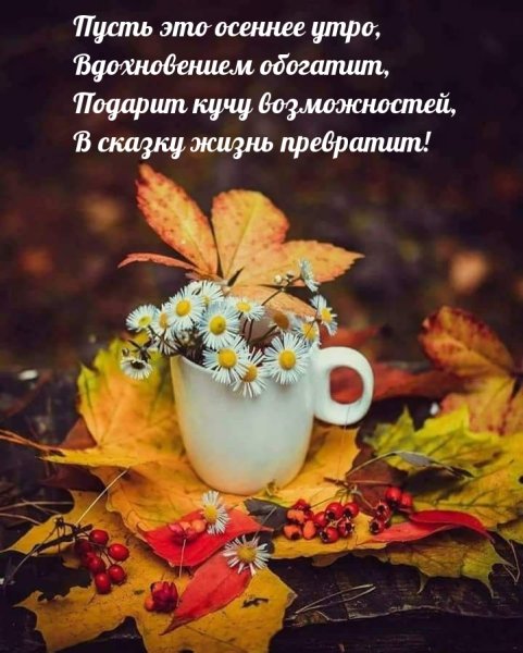 Доброе утро осень