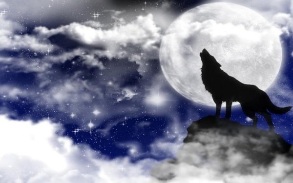 Волк и Луна обои