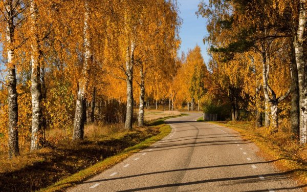 Осенний пейзаж на рабочий стол
