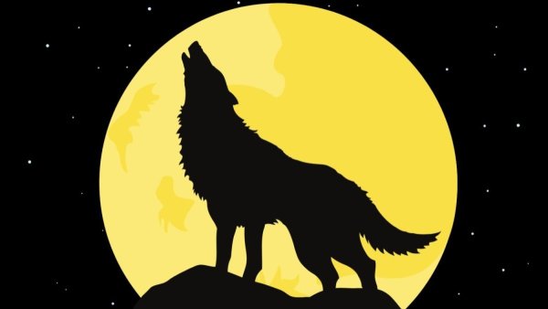 Нарисованный волк воющий на луну