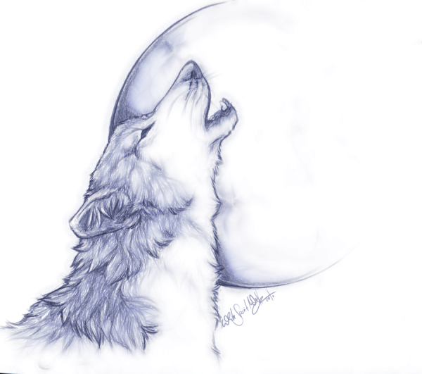 Волк воет на луну рисование