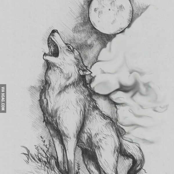 Волк воет на луну эскиз
