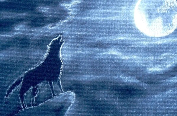 Волк и Луна рисунок