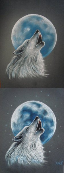 Волк воет на луну картинка