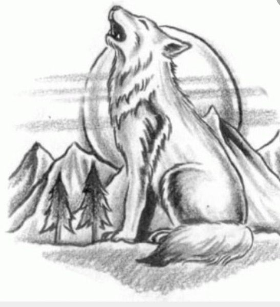 Волк на горе карандашом