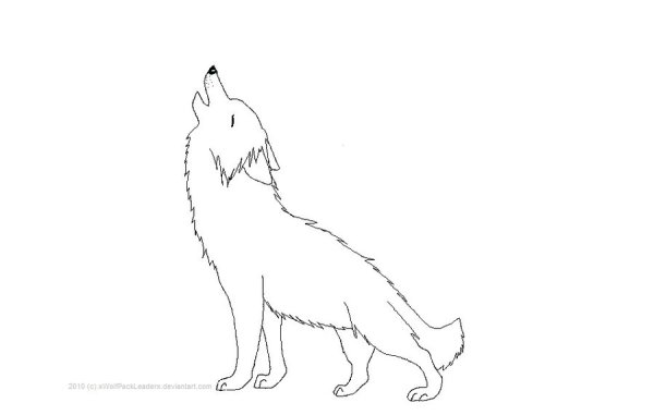 Воющий волк рисунок в полный рост