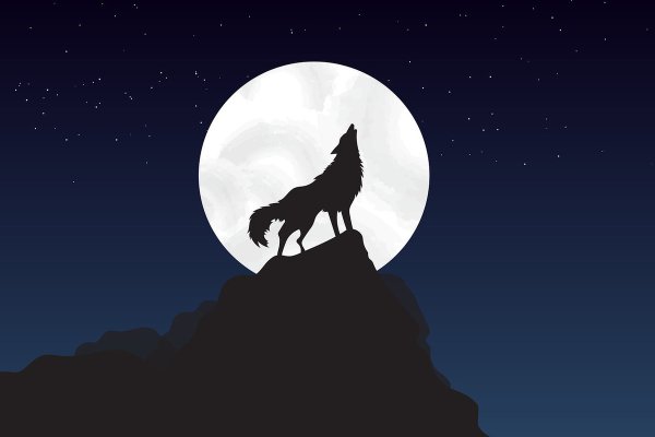 Волк воет на луну арт