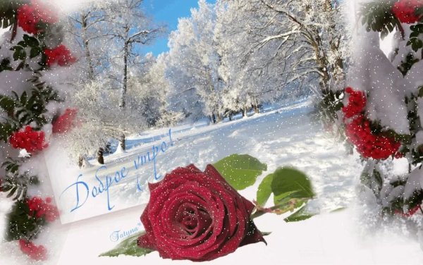 Чудесного зимнего дня