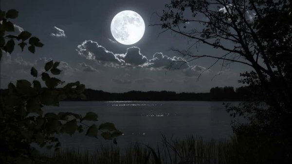 Луна лес озеро