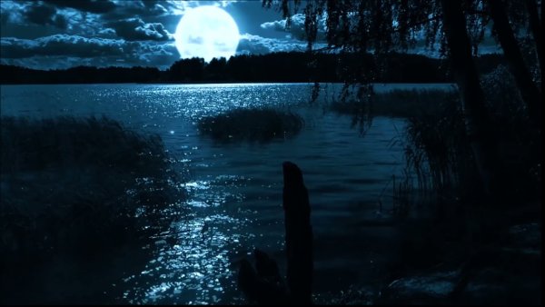 Луна отражается в озере
