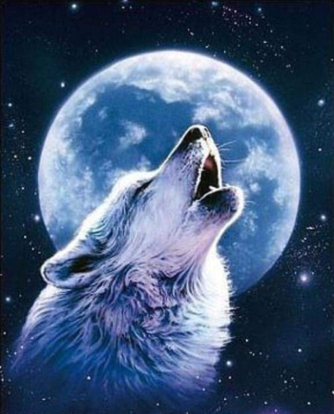 Прикольные картинки воющий волк