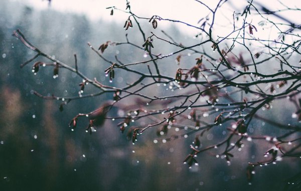 Дождь холодно Весна