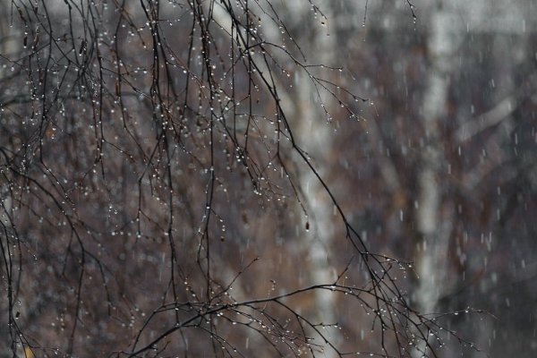 Мокрый снег Весна