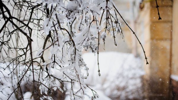 Метель весной