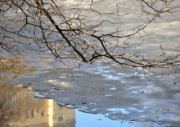 Ранняя Весна дождь