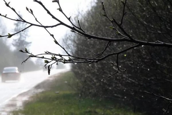 Весна пасмурно