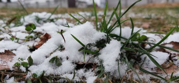 Дождь со снегом весной