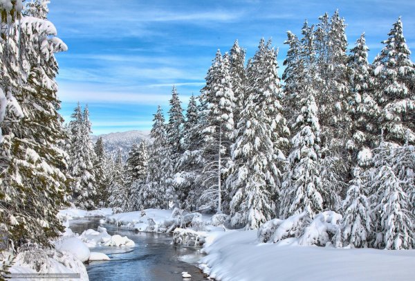 Красивая зима