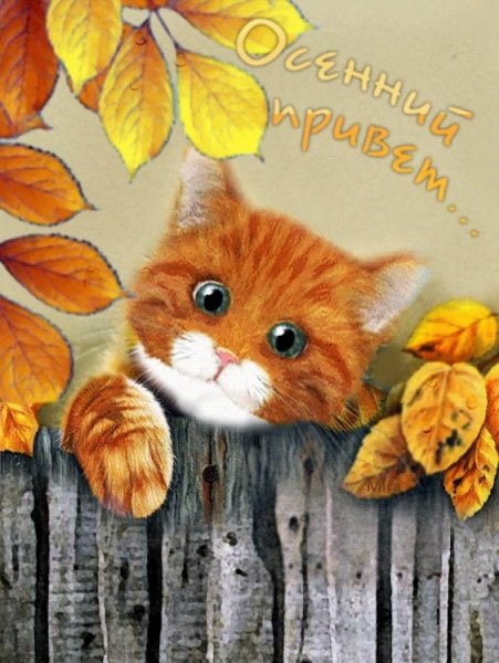 Открытки с добрым утром осенние