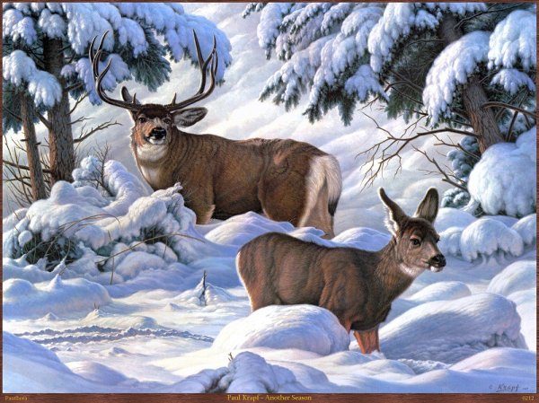 Художник - анималист Paul Krapf олени
