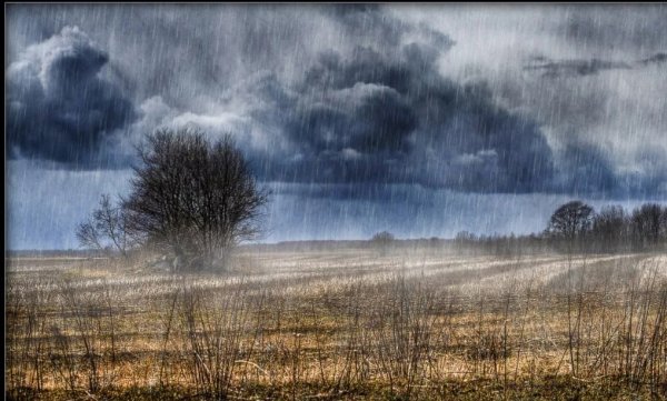 Осень тучи дождь