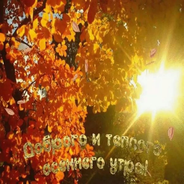 Доброе солнечное осеннее утро