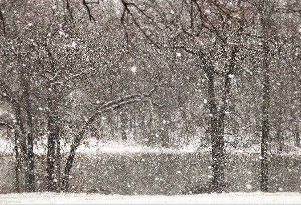 Крупные хлопья снега