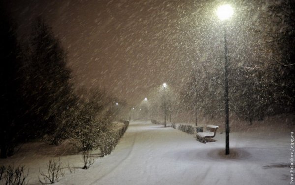 Снег идет. Снег идет? Снег идет!