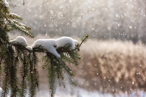 Снег идет пушистый