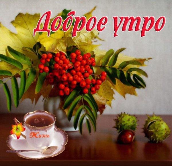 Открытки с добрым утром осенние