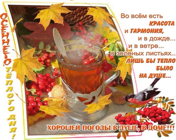 С добрым утром осенним с пожеланиями