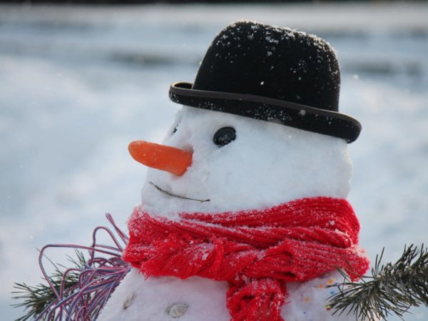 Разные Снеговики