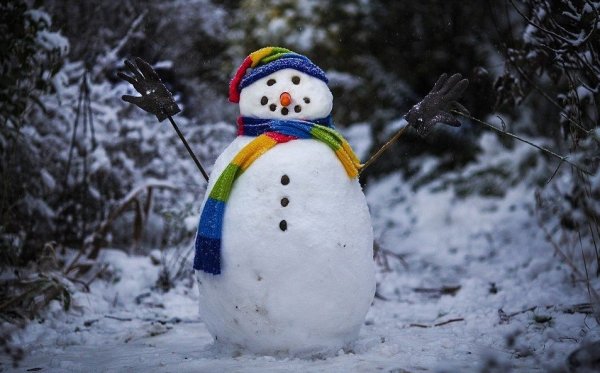 Разные Снеговики