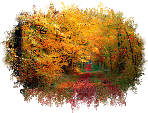 Осень клипарт