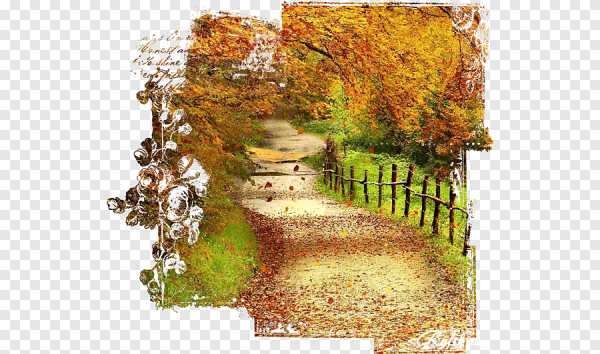 Пейзажи осени на прозрачном фоне