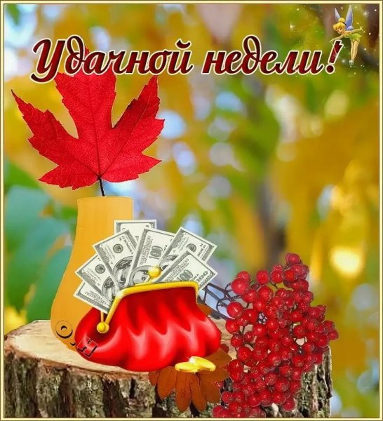 С нечалои неделиосенние