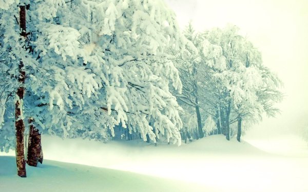 Зимняя природа