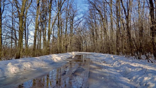 Тает снег весной