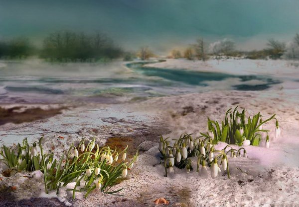 Игорь Зенин фотохудожник Весна