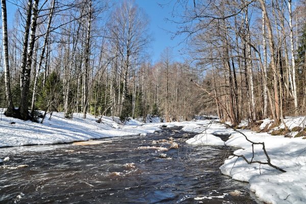 Весенние ручьи