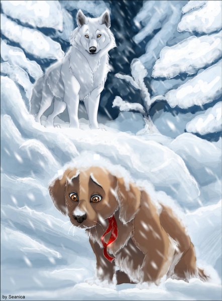 Волк и собака арт