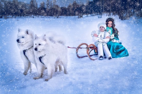 Новый год зима собаки дети