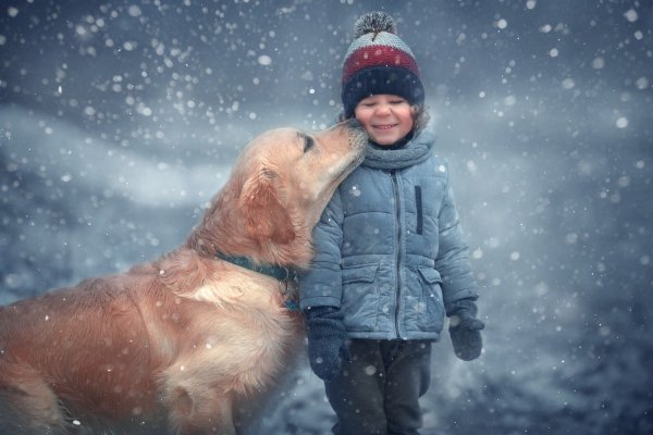 Доброта зимой