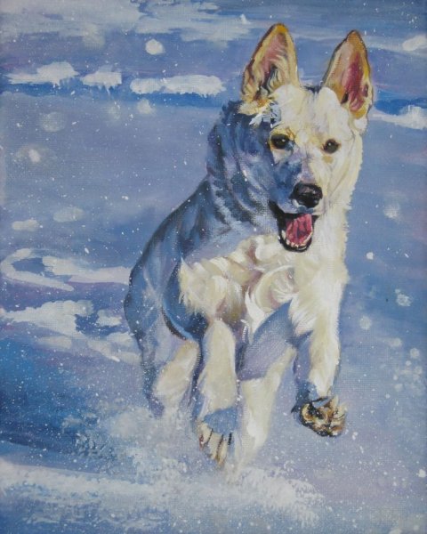 Немецкая овчарка Canva